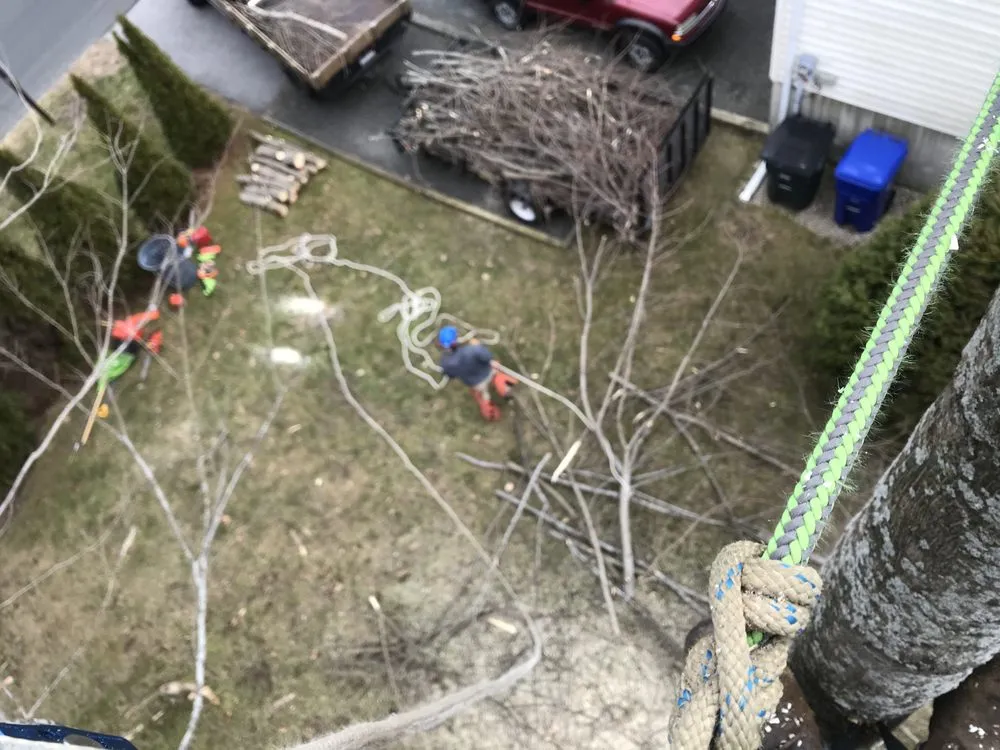 Top-rated landscaping services in Northfield, CT by Smith Tree Works
