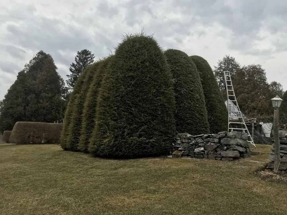 Top-rated landscape installation in Northfield, CT - Smith Tree Works
