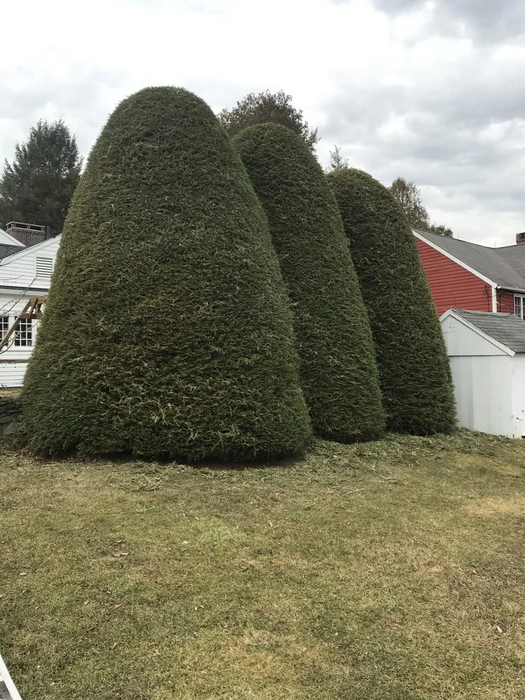 Custom lawn mowing service with custom design across Northfield, CT - Smith Tree Works