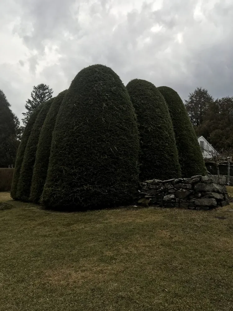 Affordable lawn care service near you in Northfield, CT by Smith Tree Works