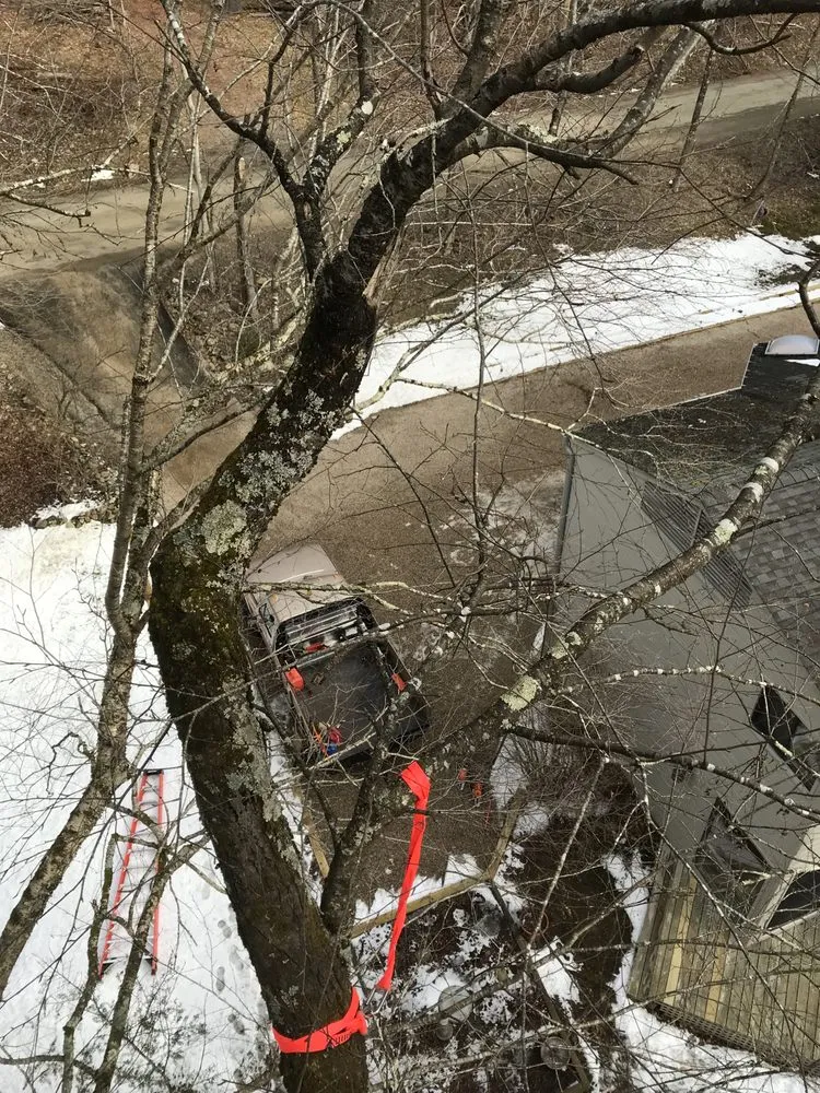 Affordable residential landscaping in Northfield, CT - Smith Tree Works