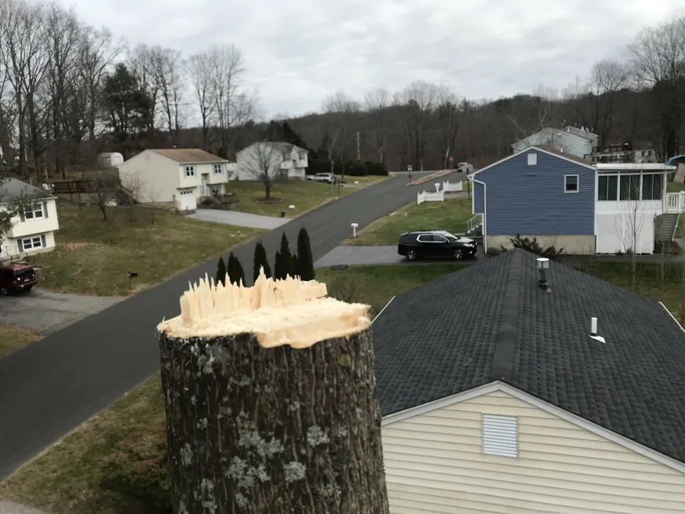 Custom lawn care service for residential properties across Northfield, CT - Smith Tree Works