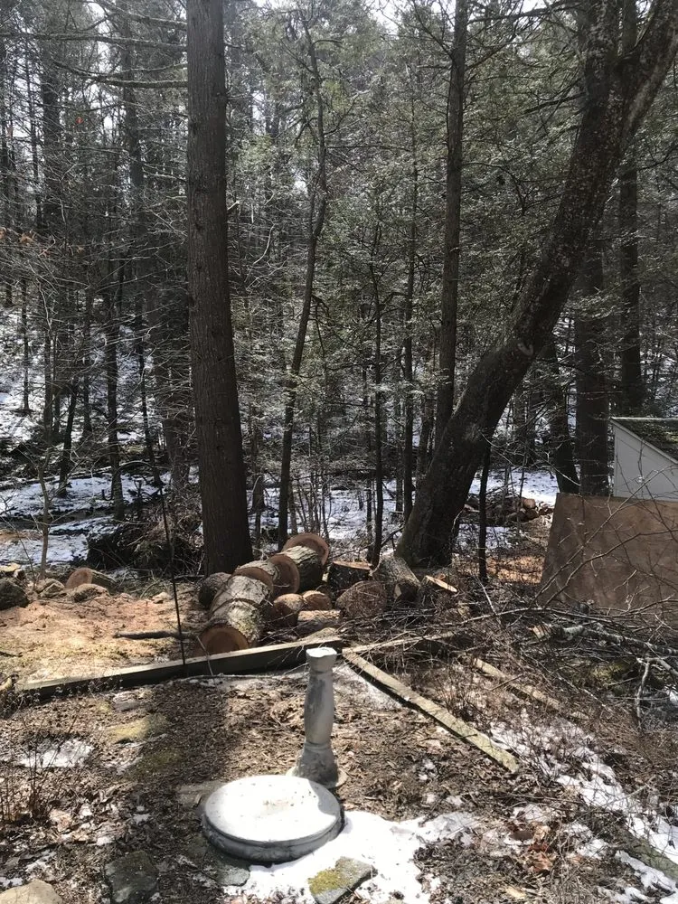 Custom yard cleanup service for outdoor upgrades in Northfield, CT by Smith Tree Works