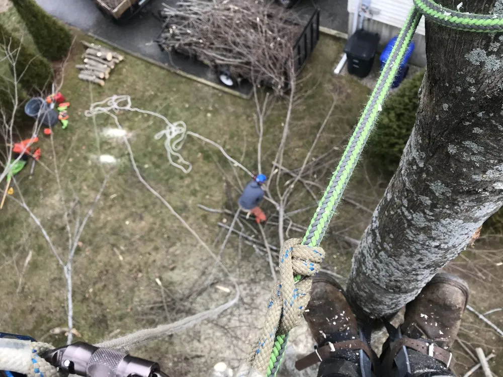 Local landscaping services experts serving Northfield, CT - Smith Tree Works