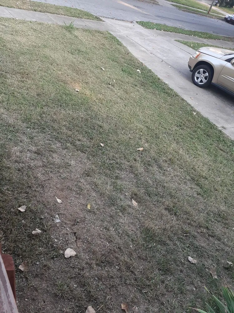 Trusted yard cleanup service in North Kansas City, MO - SMITHEONS Landscaping