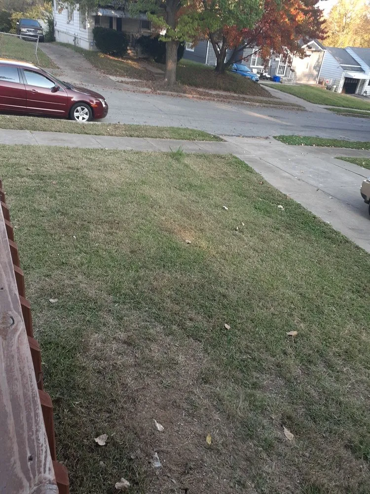 Affordable yard cleanup service near you across North Kansas City, MO - SMITHEONS Landscaping