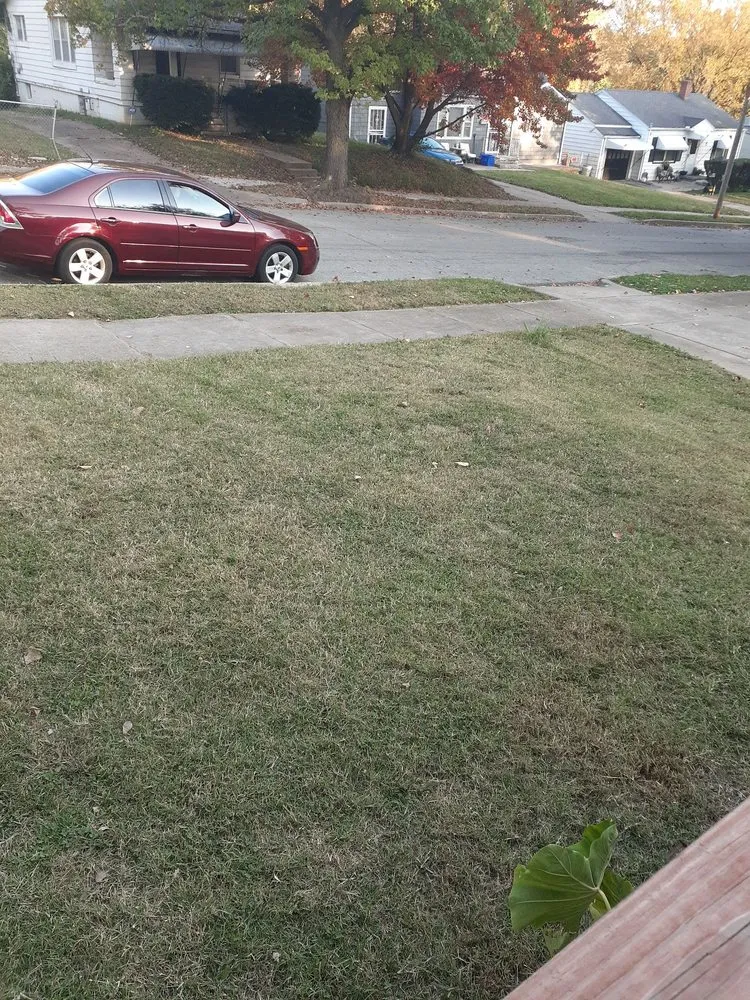 Trusted landscaping services for beautiful yards across North Kansas City, MO - SMITHEONS Landscaping