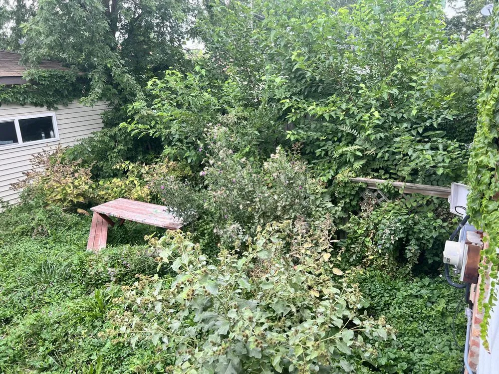 Local yard maintenance in Chicago, IL by Smiths Expert Lawn Care