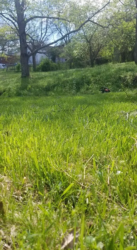 Custom landscape design for year-round maintenance across Frankfort, KY - Smiths Ground Control