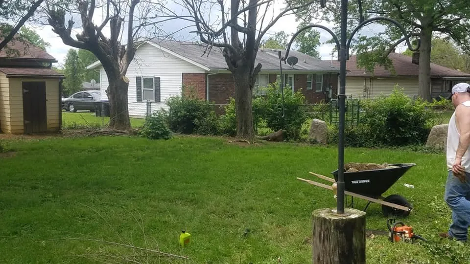 Local landscape design for year-round maintenance across Frankfort, KY - Smiths Ground Control