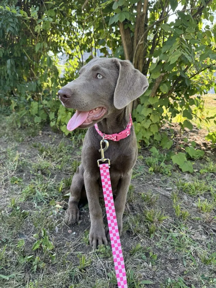 Custom outdoor landscaping in Miamisburg, OH by Smiths Landscaping