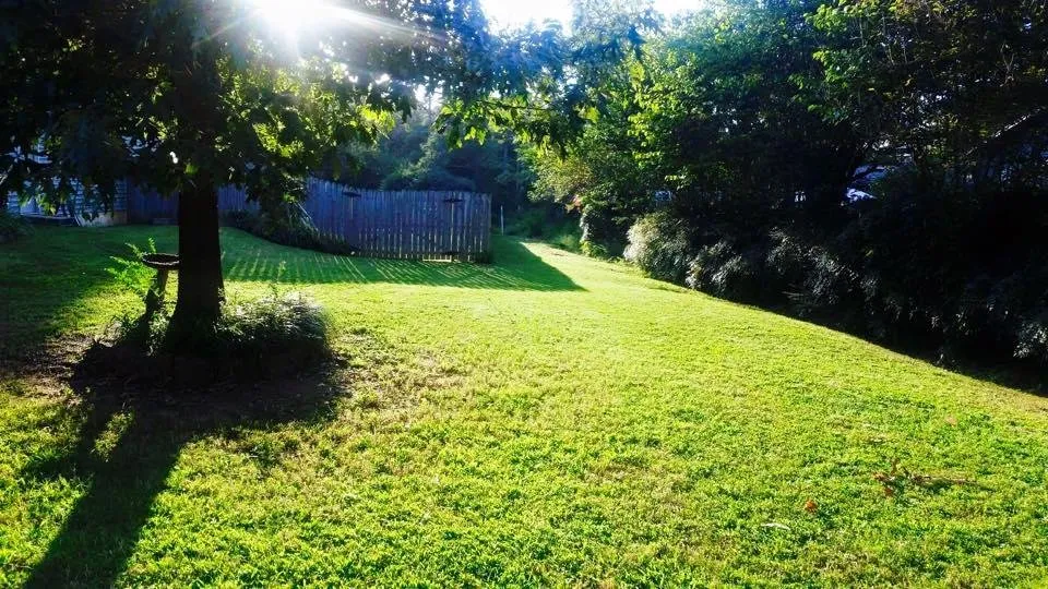 Expert landscaping services in Tumbling Shoals, AR by Smith's Lawn & Landscaping Service