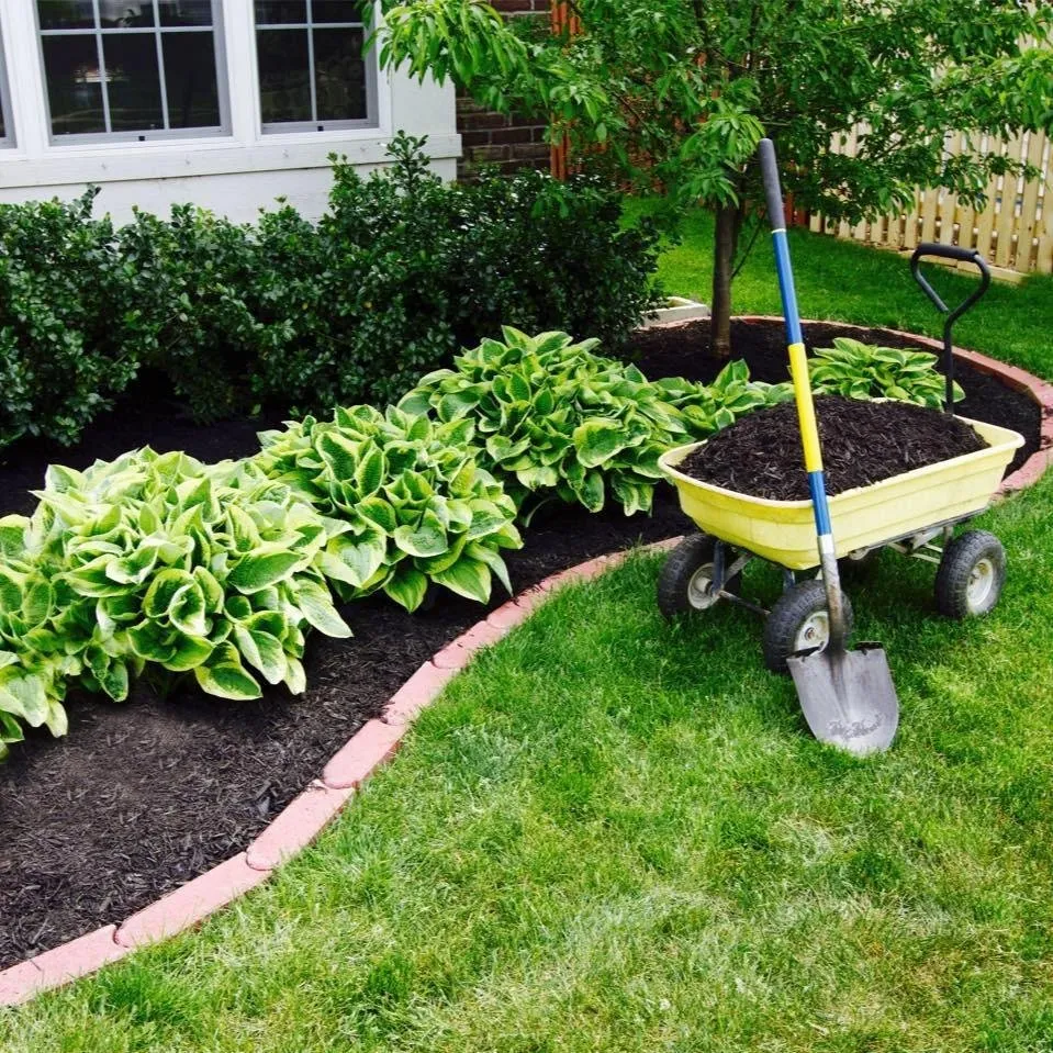 Affordable lawn care service in Tumbling Shoals, AR - Smith's Lawn & Landscaping Service