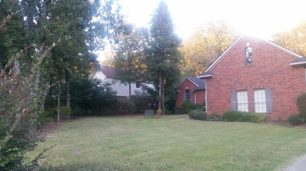 Trusted lawn mowing service in Tumbling Shoals, AR by Smith's Lawn & Landscaping Service