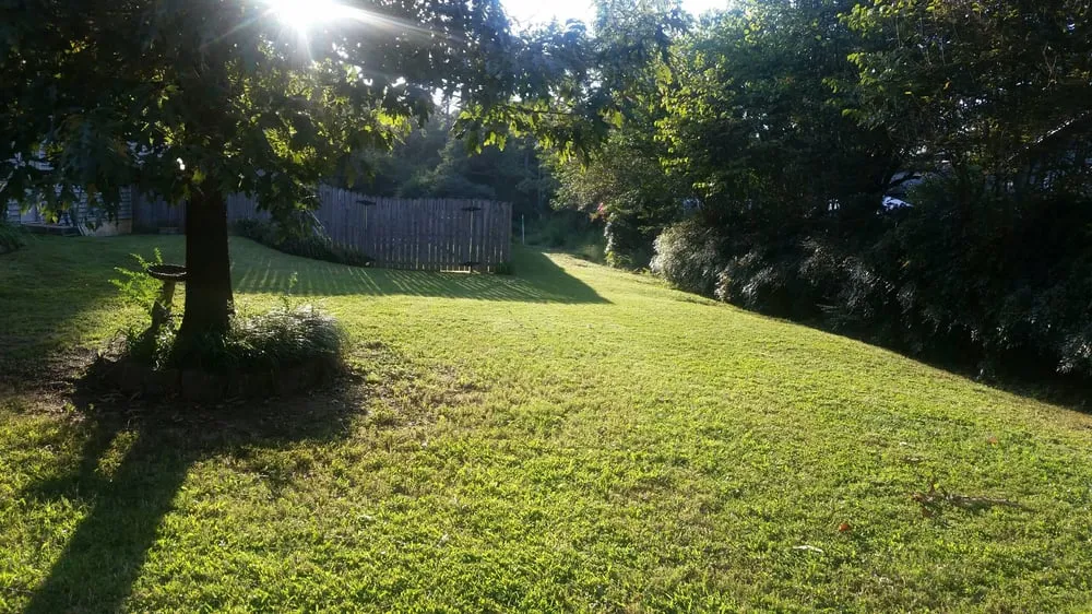 Top-rated outdoor landscaping in Tumbling Shoals, AR by Smith's Lawn & Landscaping Service
