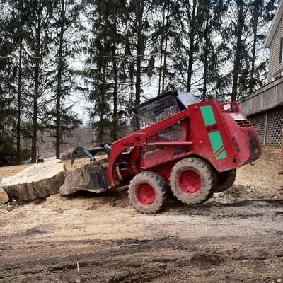 Smith's Lawn and Landscape