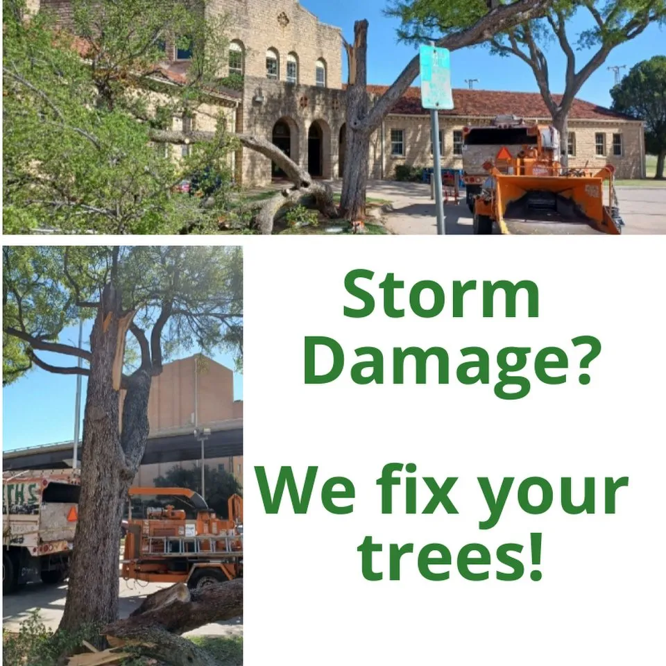 Trusted outdoor landscaping for beautiful yards in Wichita Falls, TX by Smith's Lawn and Tree Service