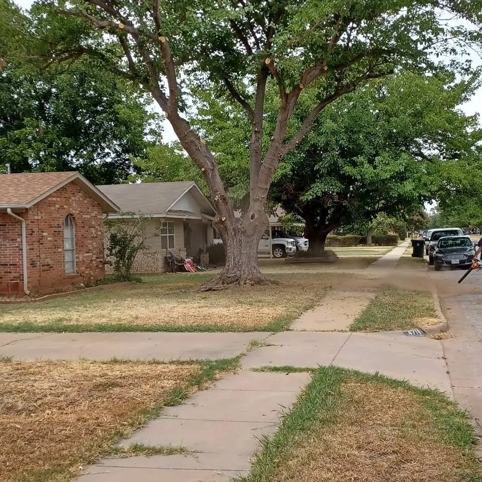 Expert garden landscaping for beautiful yards across Wichita Falls, TX - Smith's Lawn and Tree Service