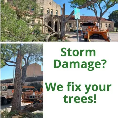 Smith's Lawn and Tree Service Logo