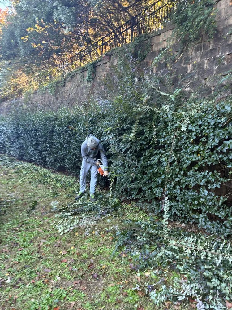 Top-rated landscaping services near you in Raleigh, NC by Smith’s Lawn Care & Family Services