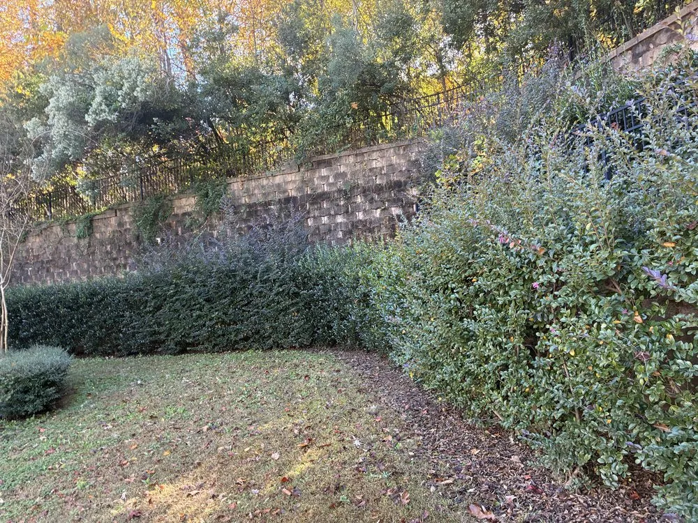 Professional yard maintenance for homes across Raleigh, NC - Smith’s Lawn Care & Family Services