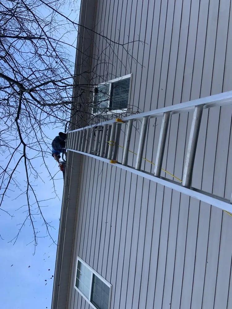 Expert landscape installation in Raleigh, NC - Smith’s Lawn Care & Family Services