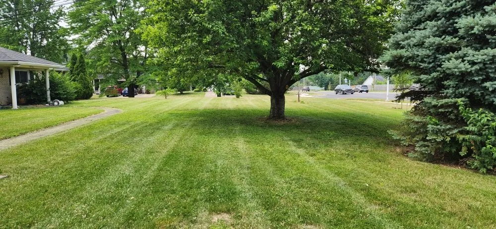 Professional landscape installation in Lexington, KY - Smith's Lawn Care and Pressure Washing