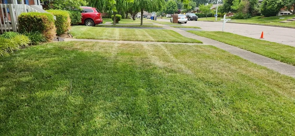 Reliable landscape design with custom design in Lexington, KY by Smith's Lawn Care and Pressure Washing