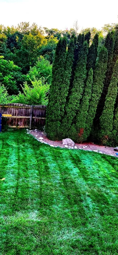 Affordable outdoor landscaping in Lexington, KY - Smith's Lawn Care and Pressure Washing