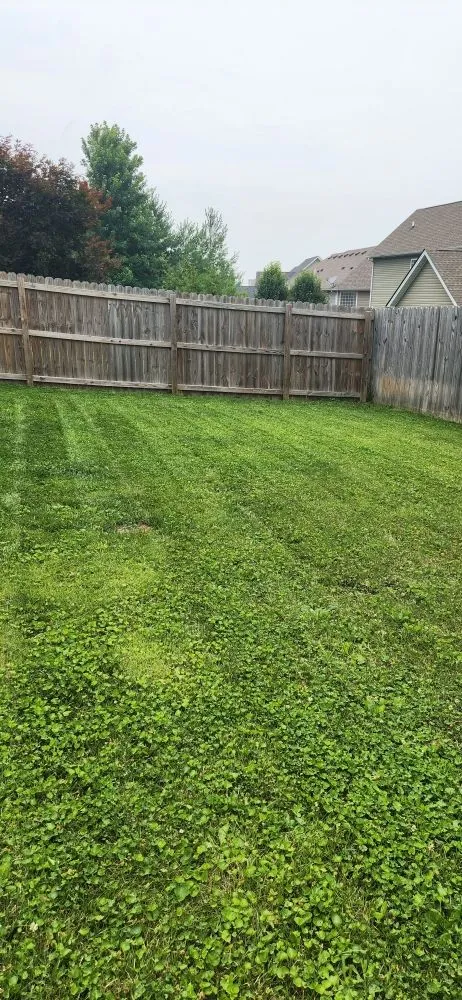 Local yard cleanup service near you across Lexington, KY - Smith's Lawn Care and Pressure Washing