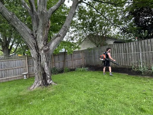 Smiths lawn care Logo