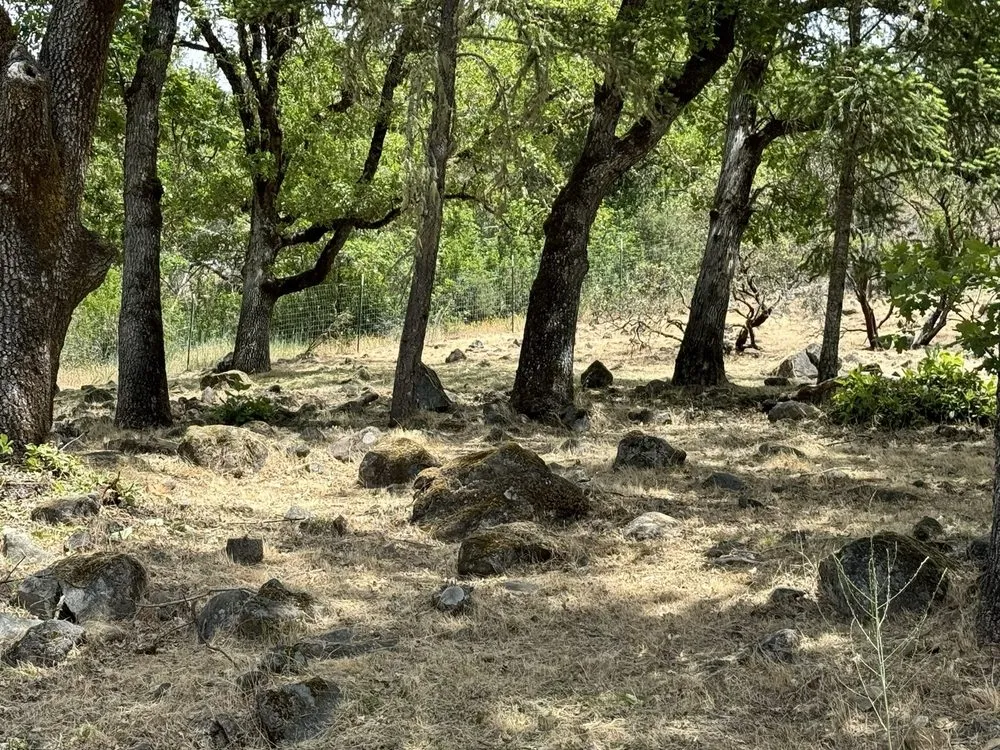 Local landscape installation in Grants Pass, OR by Smith's Lawn Care