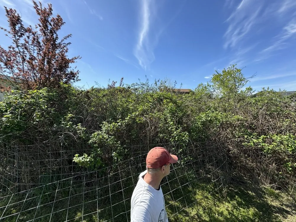 Local landscape installation with custom design in Grants Pass, OR by Smith's Lawn Care