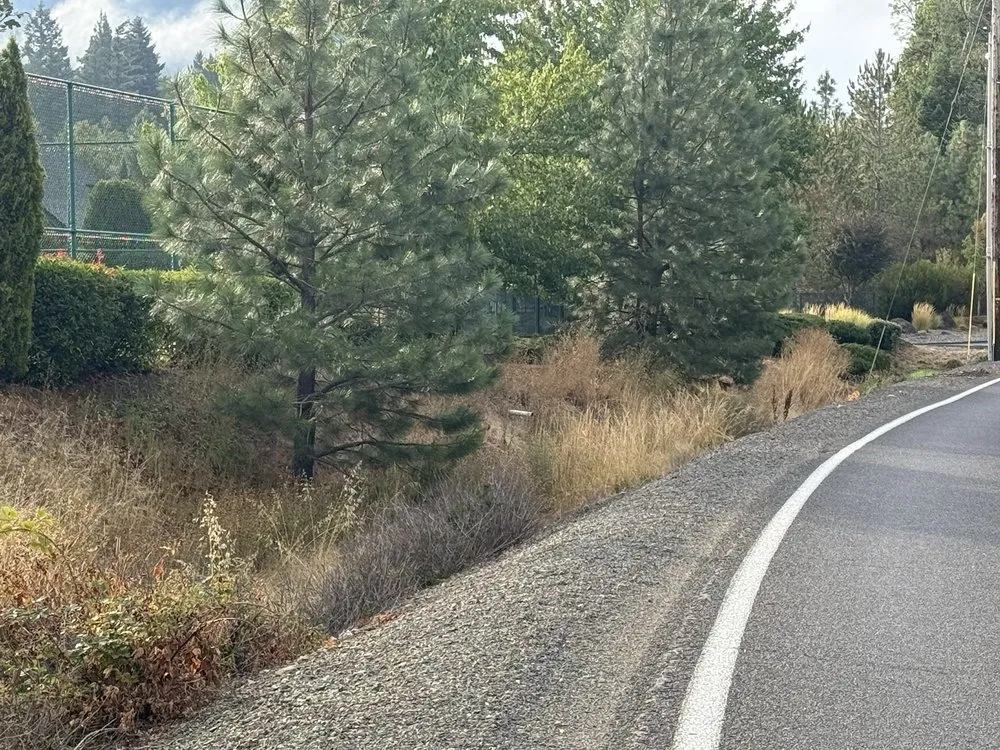 Trusted yard cleanup service for year-round maintenance across Grants Pass, OR - Smith's Lawn Care