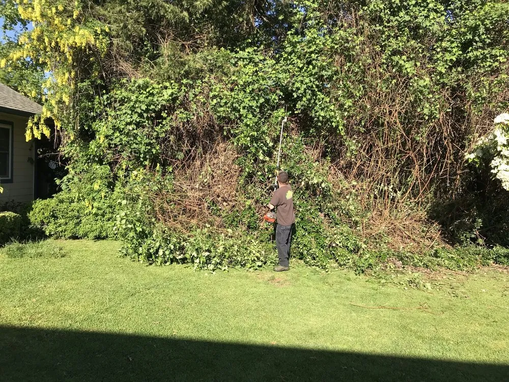 Local outdoor landscaping near you in Grants Pass, OR by Smith's Lawn Care