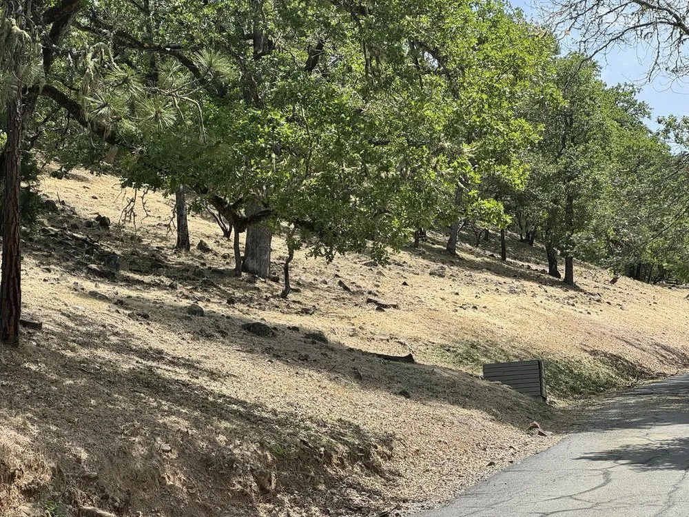 Professional lawn mowing service in Grants Pass, OR by Smith's Lawn Care