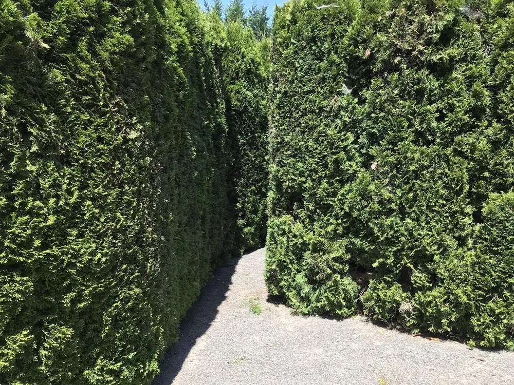 Reliable lawn mowing service for residential properties in Grants Pass, OR by Smith's Lawn Care