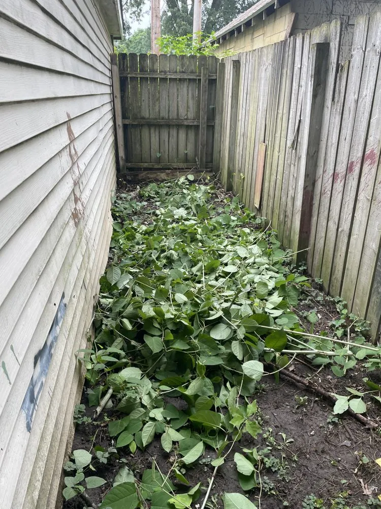 Top-rated lawn care service near you in South Bend, IN by Smiths Lawn Care