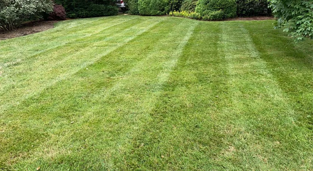 Affordable landscape design for homes in Calhoun, GA by Smiths Lawn Maintenance