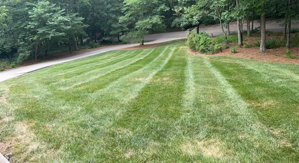 Professional lawn care service in Calhoun, GA - Smiths Lawn Maintenance