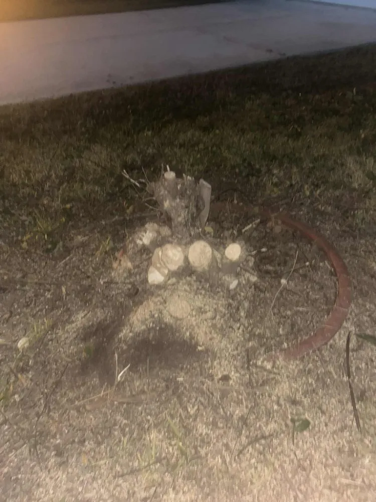 Affordable landscape design for outdoor upgrades in Conroe, TX by Smiths Lawn Service