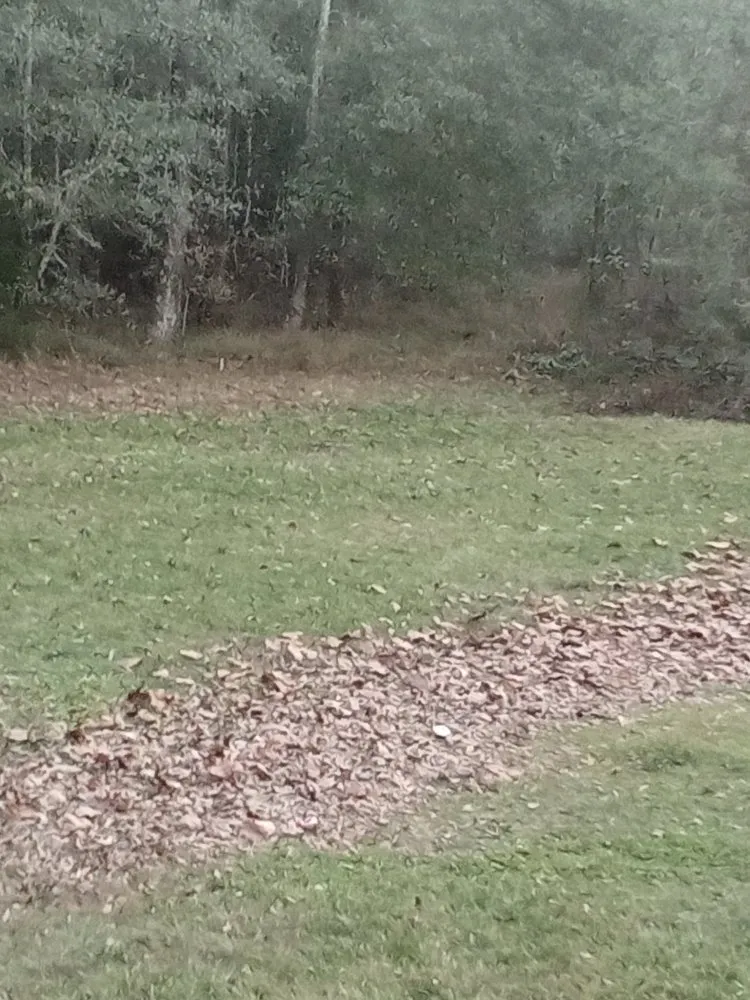 Local landscape design for outdoor upgrades across Conroe, TX - Smiths Lawn Service