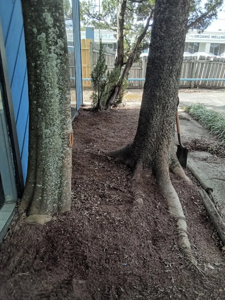 Affordable outdoor landscaping experts serving Conroe, TX - Smiths Lawn Service