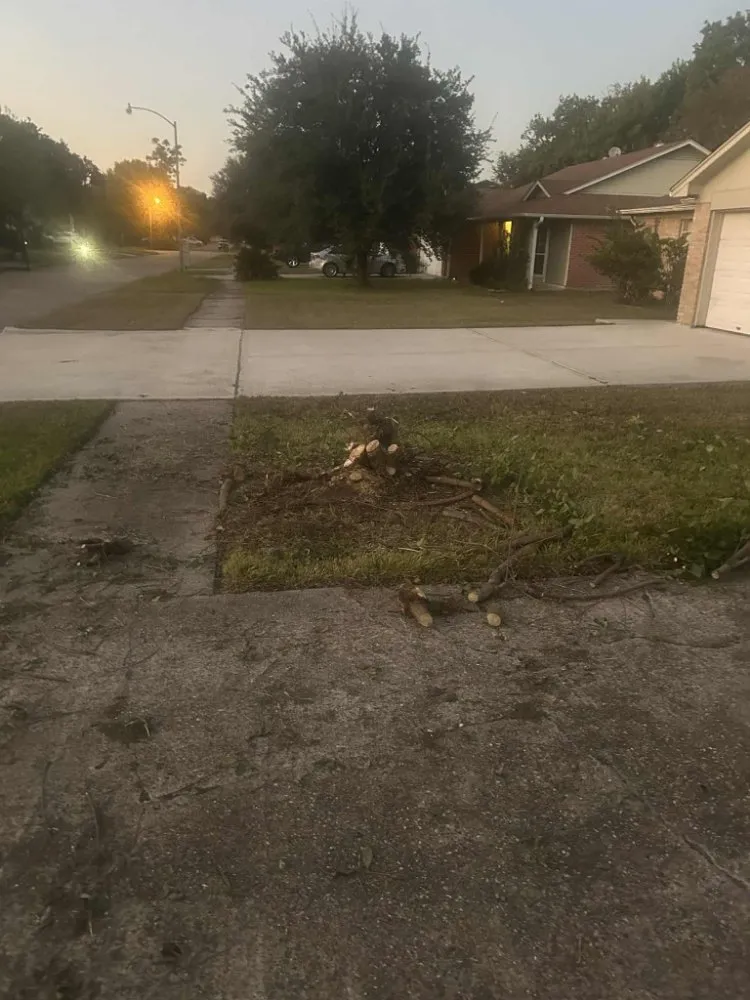 Top-rated yard cleanup service experts serving Conroe, TX - Smiths Lawn Service