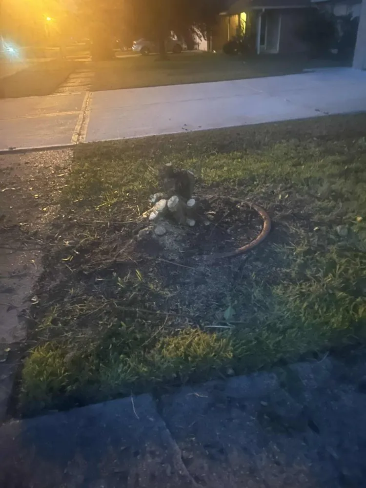 Custom landscape installation for homes across Conroe, TX - Smiths Lawn Service