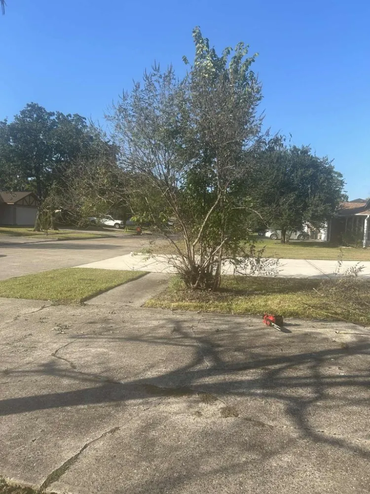 Custom outdoor landscaping for beautiful yards across Conroe, TX - Smiths Lawn Service