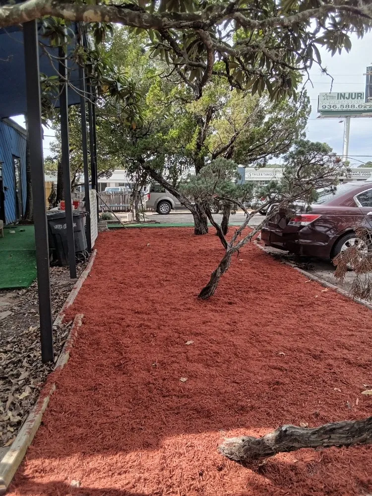 Expert landscaping services in Conroe, TX - Smiths Lawn Service