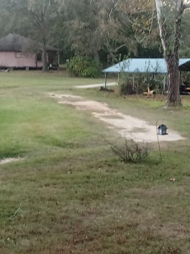 Local residential landscaping in Conroe, TX by Smiths Lawn Service