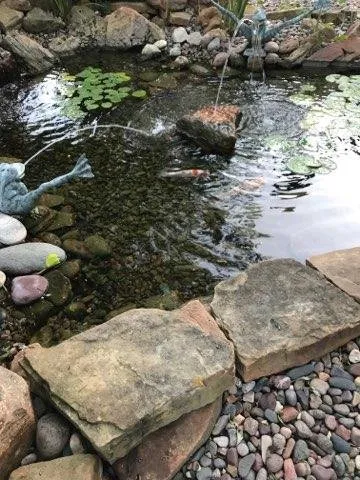 Trusted landscape design in Fort Worth, TX - Smith's Lawnage Incentives