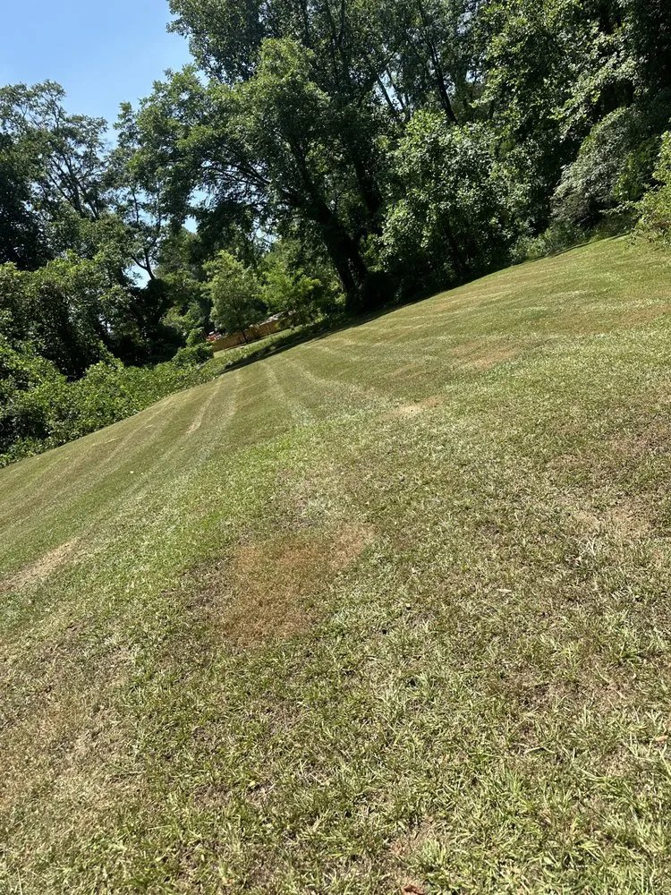 Affordable lawn care service experts serving Seneca, SC - Smith's Lawncare